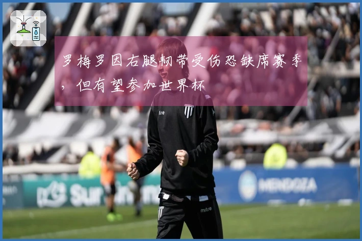 罗梅罗因右腿韧带受伤恐缺席赛季，但有望参加世界杯